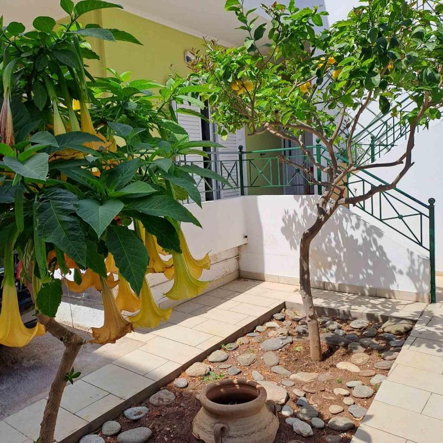 Dimitris Place Near Athens Airport Koropíon Exterior foto